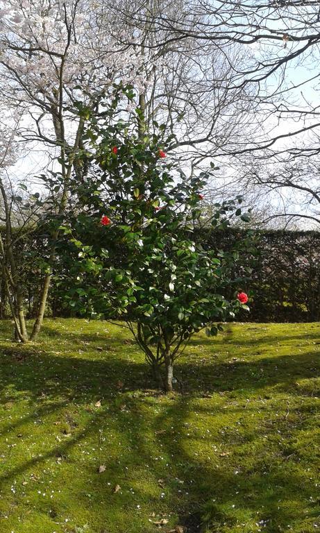 B&B Appelkers II Kortessem Dış mekan fotoğraf